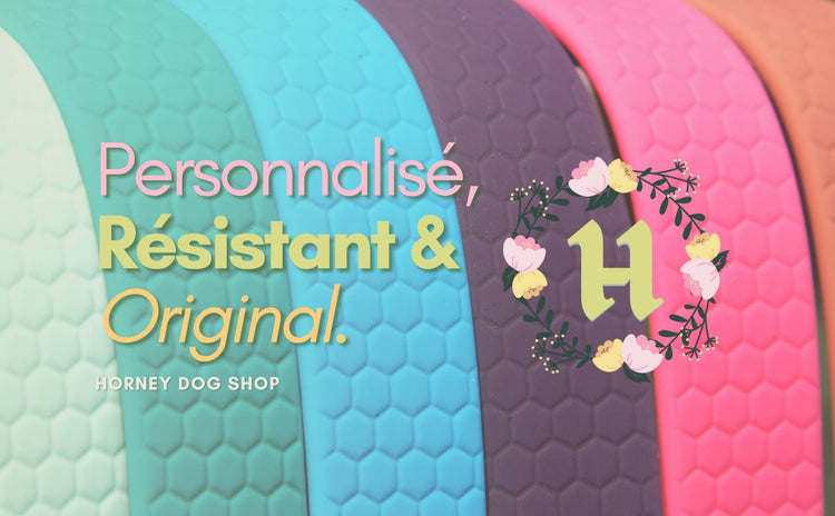 Tous nos produits pour 🐶✨