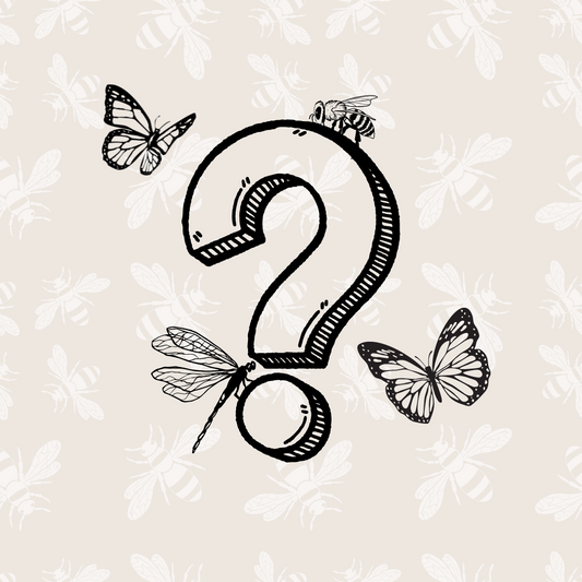 Insecta Necklace (Carte blanche)