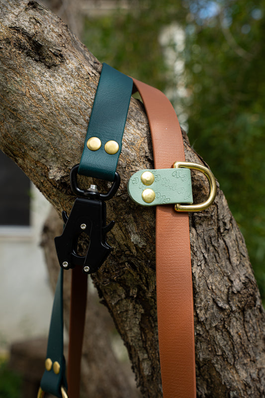 BioThane® Two-Tone Multi-Position Leash