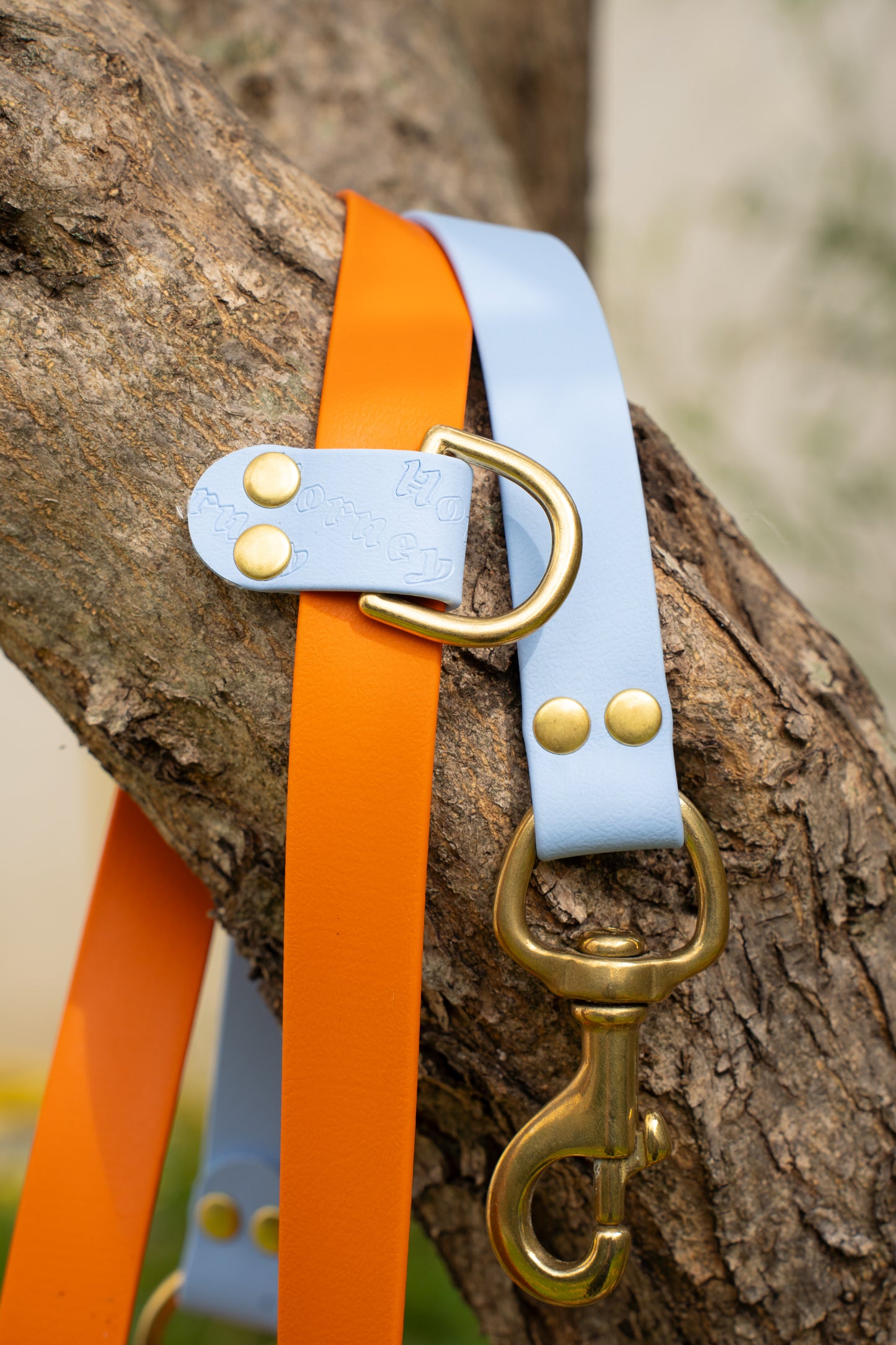 BioThane® Two-Tone Multi-Position Leash