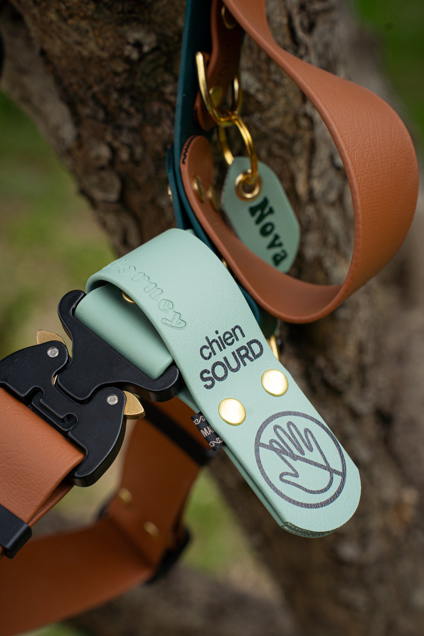 38MM Y-Harness