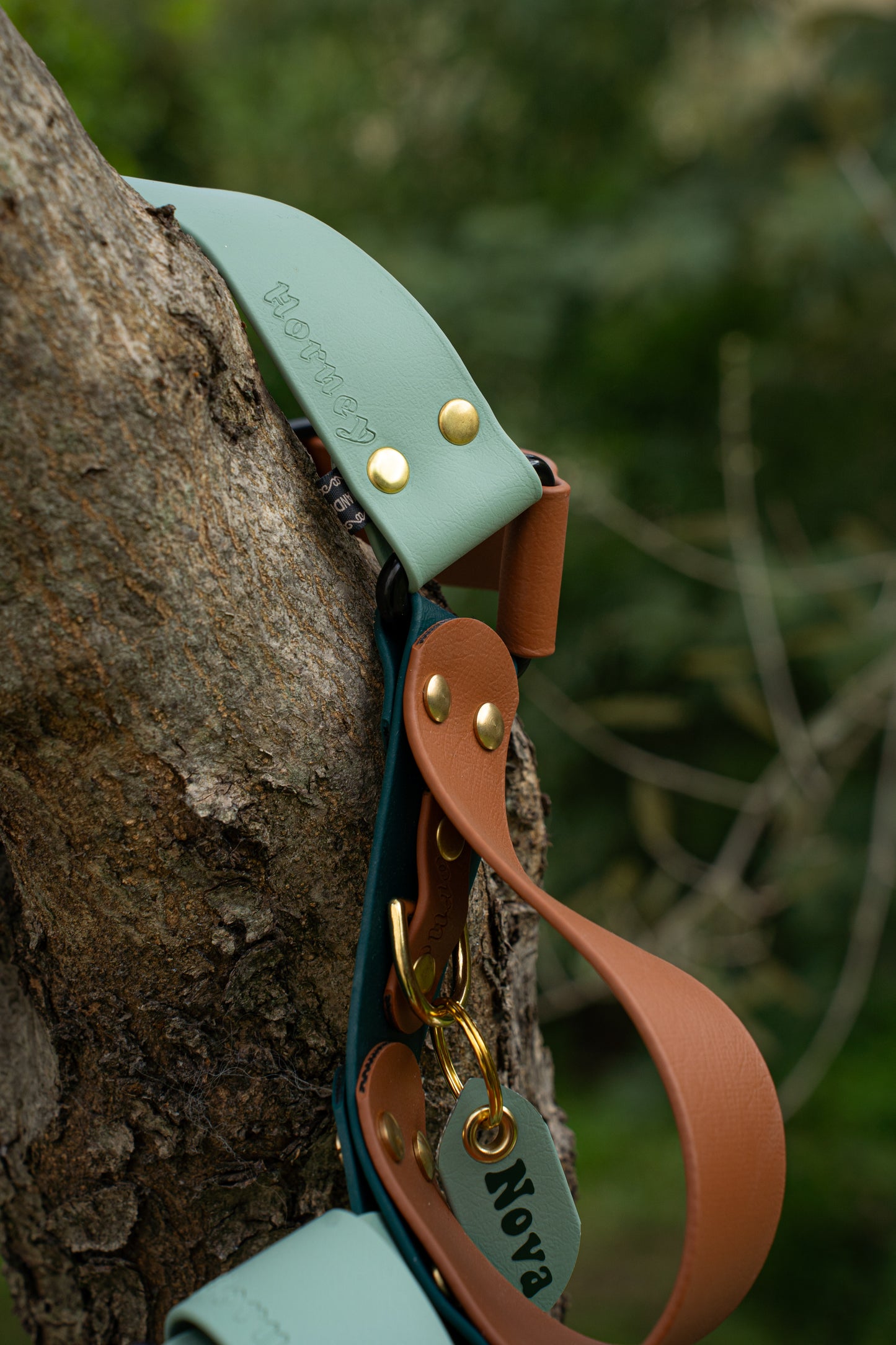 38MM Y-Harness