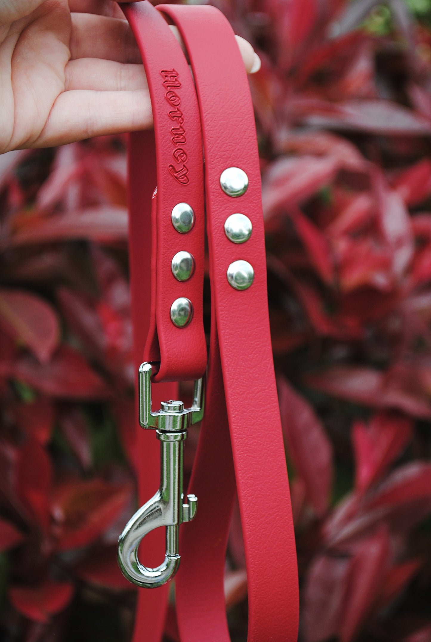 BioThaneĀ® Leash