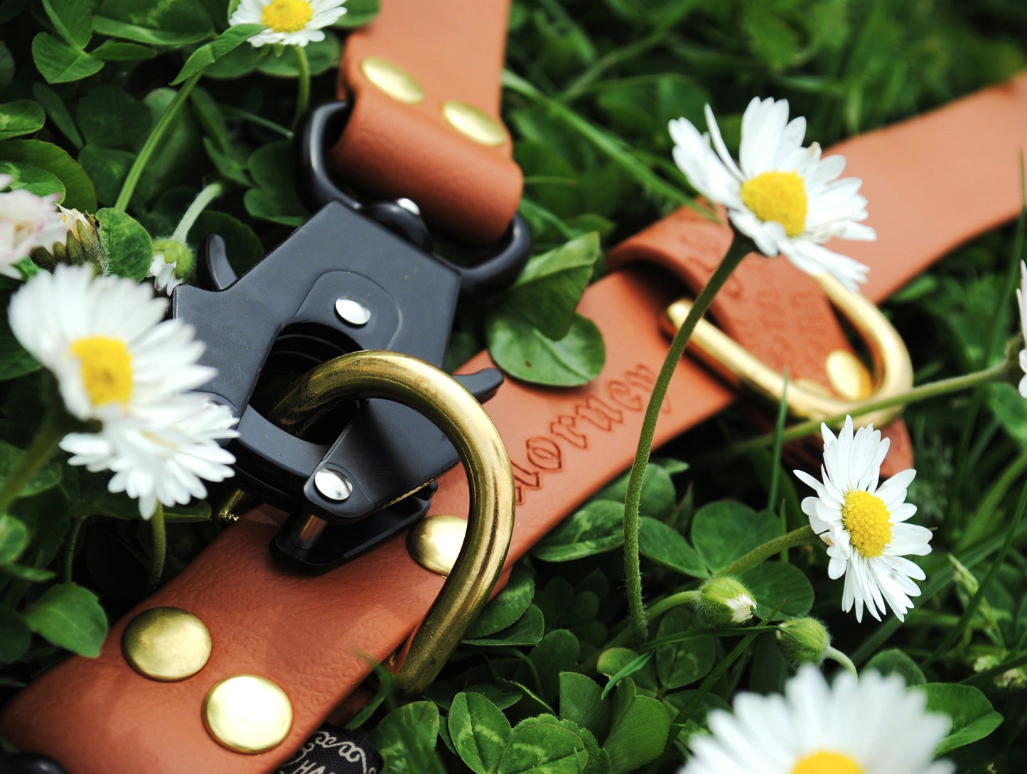 BioThane® Multi-Position Leash