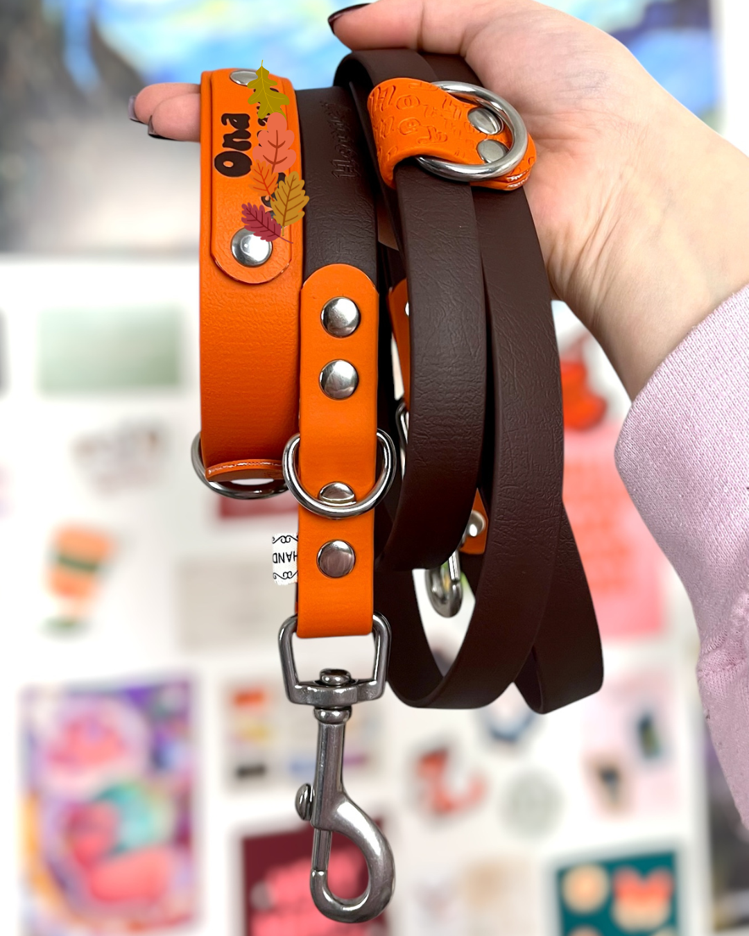 BioThane® Two-Tone Multi-Position Leash