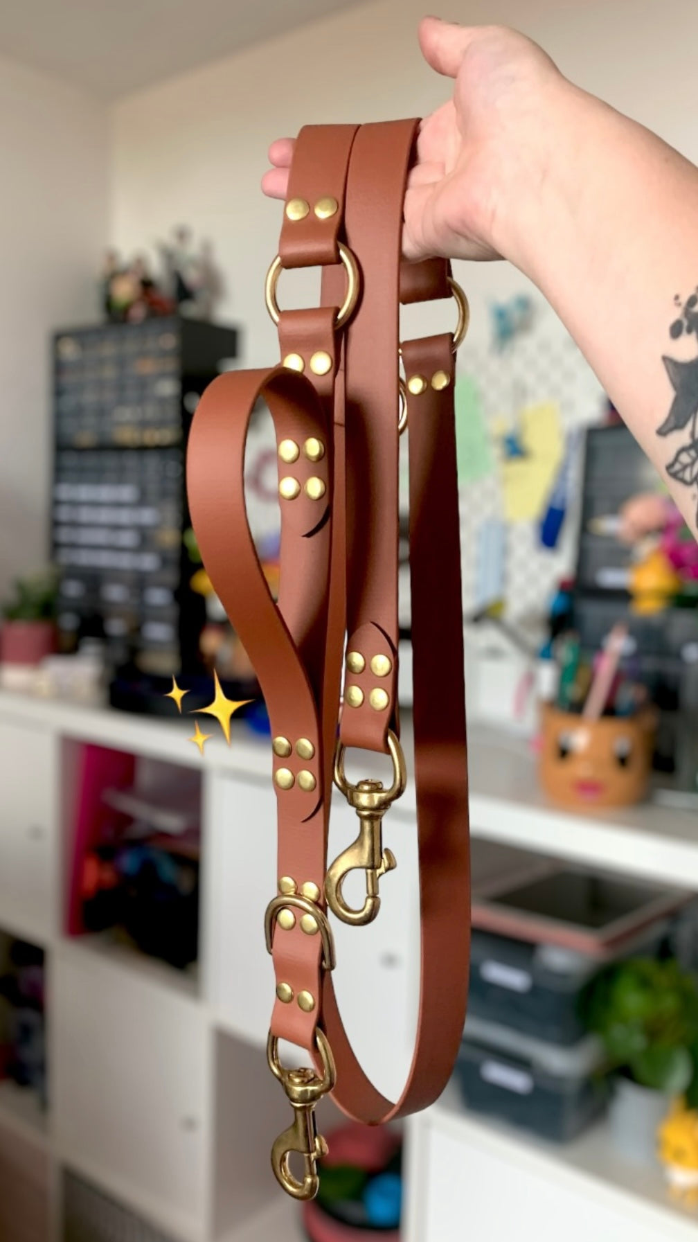 BioThane® Multi-Position Leash