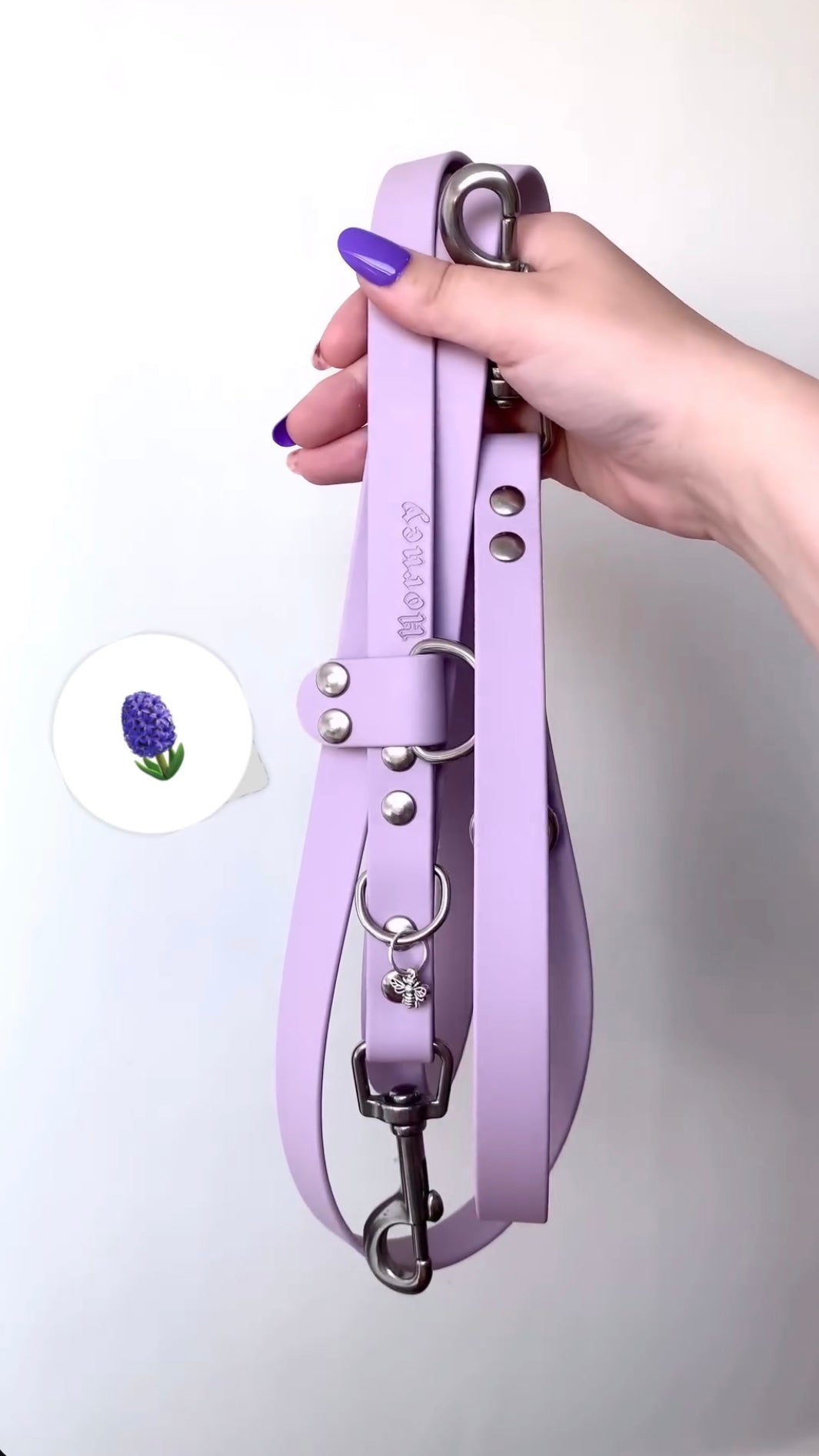 BioThane® Multi-Position Leash