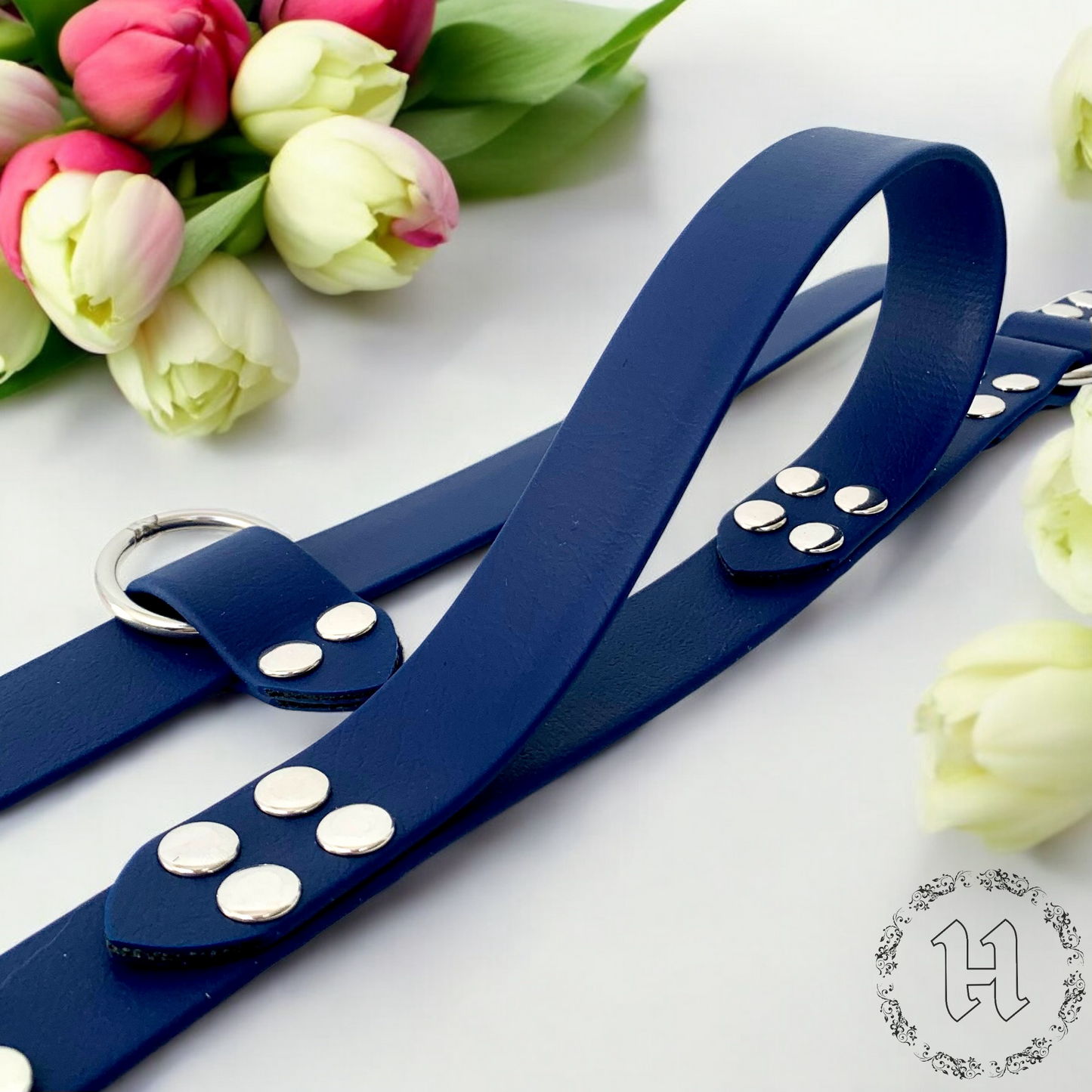 BioThane® Multi-Position Leash