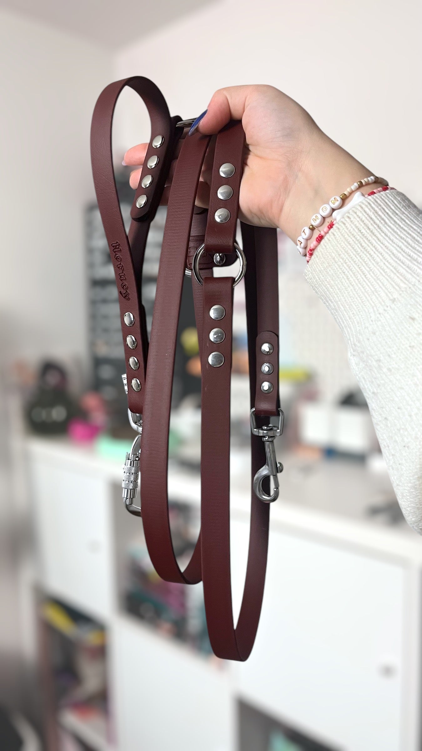 BioThane® Multi-Position Leash