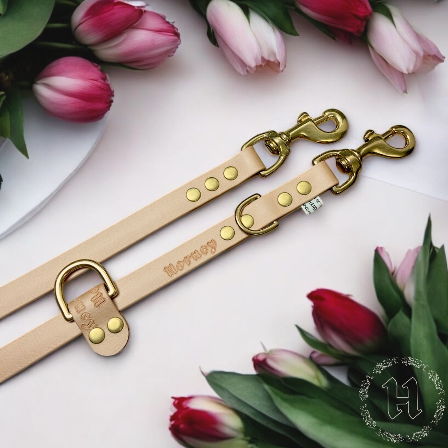 BioThane® Multi-Position Leash