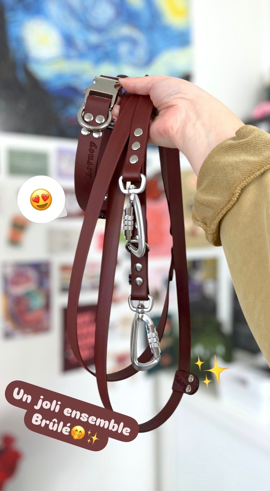 BioThane® Multi-Position Leash