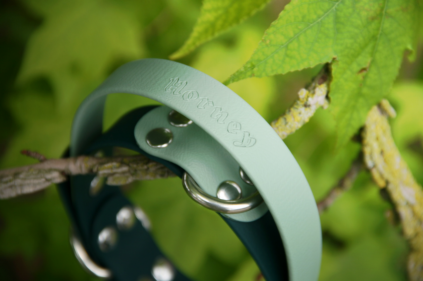 Collier à poignée BioThane®