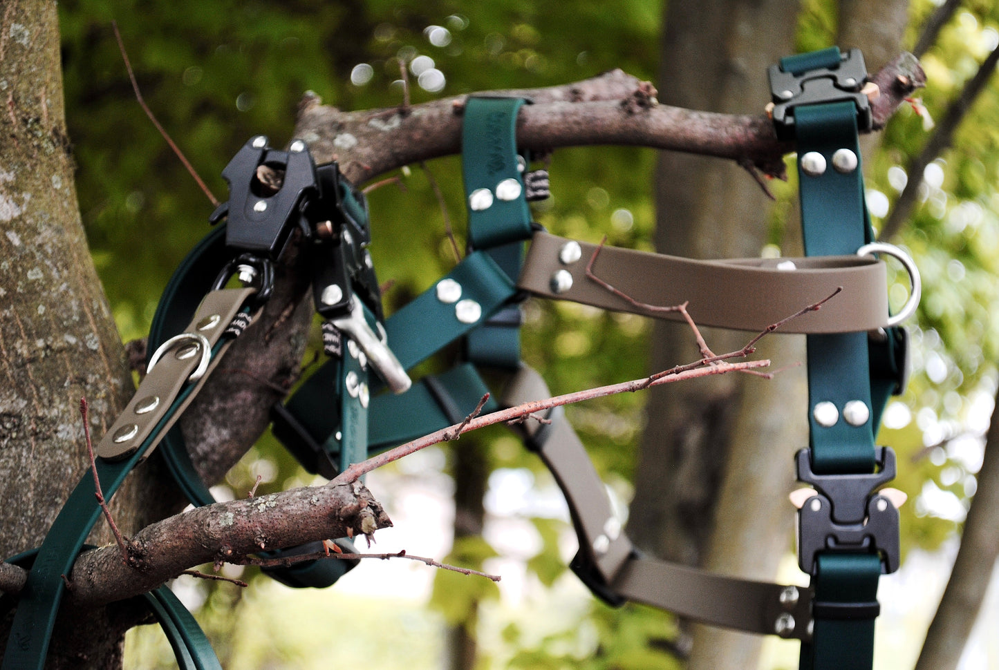 38MM Y-Harness