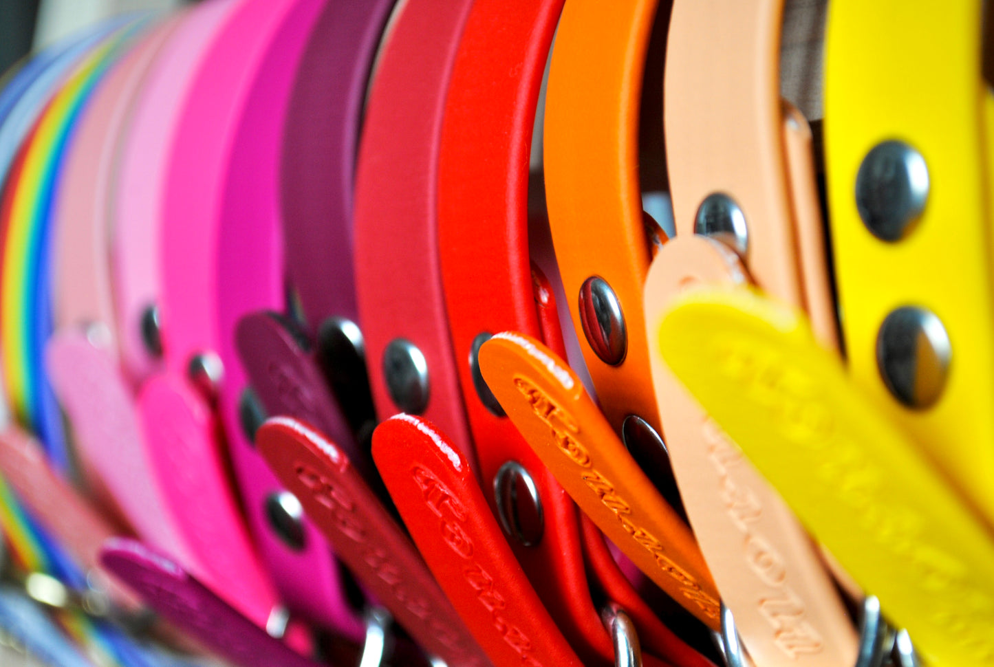 BioThane® Collar