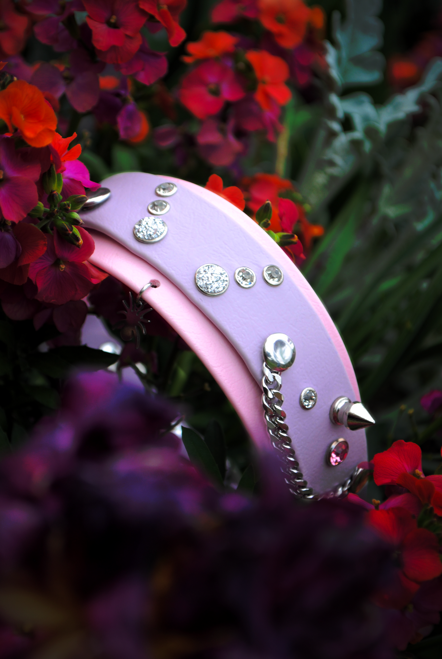 Collier Regius