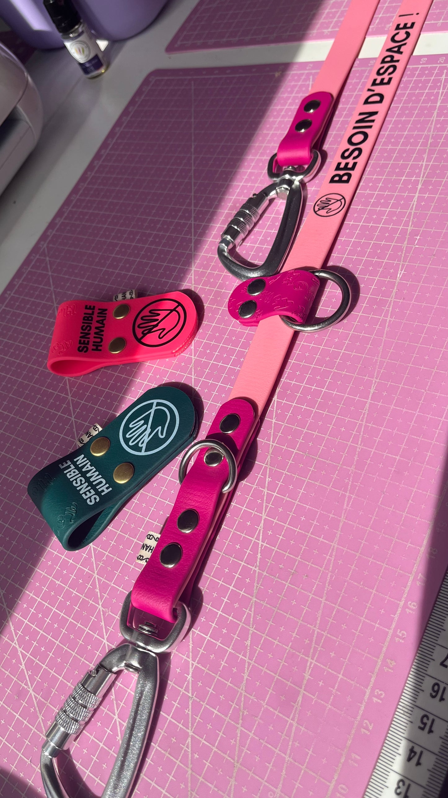 BioThane® Two-Tone Multi-Position Leash