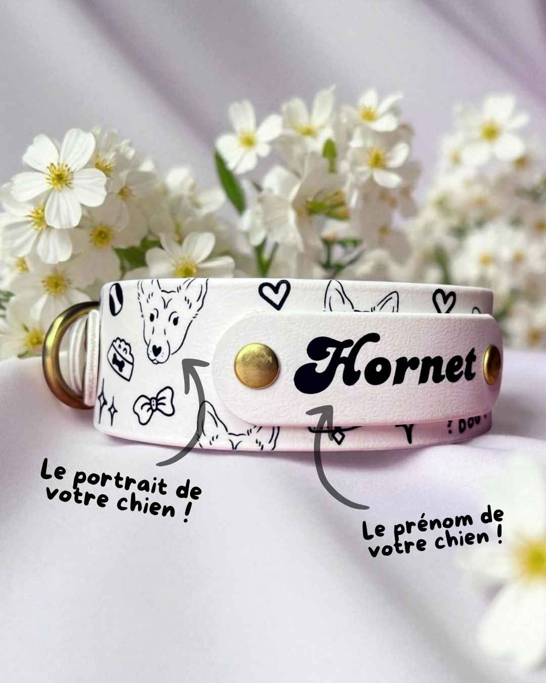 Pack Horney x Sticky Lily