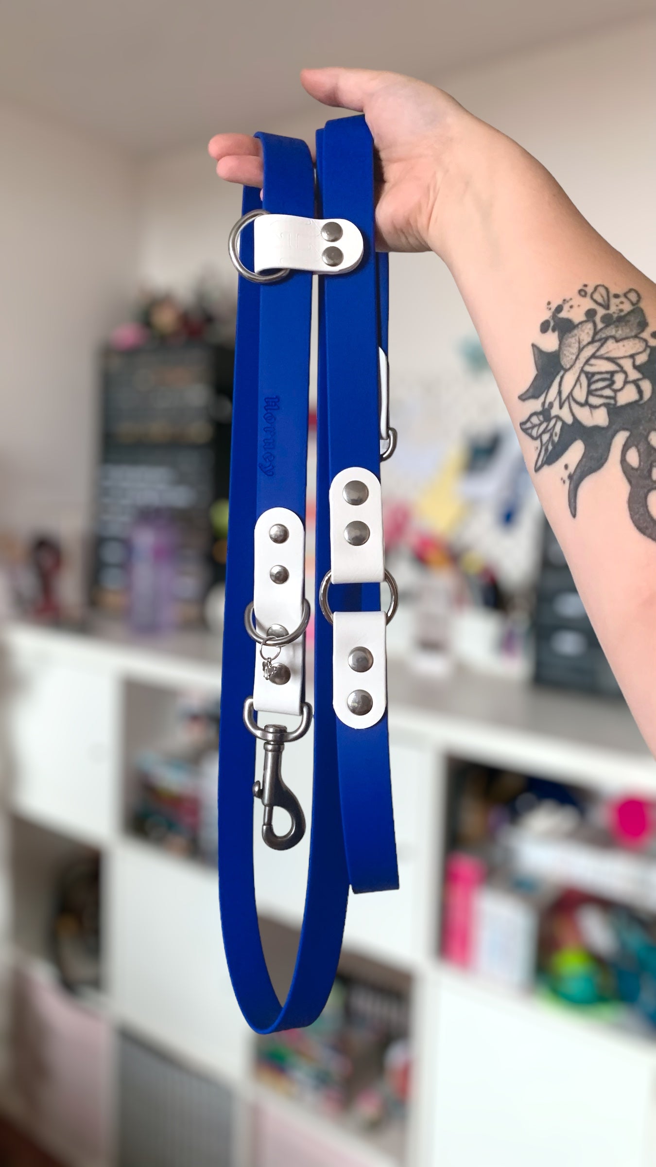 BioThane® Two-Tone Multi-Position Leash