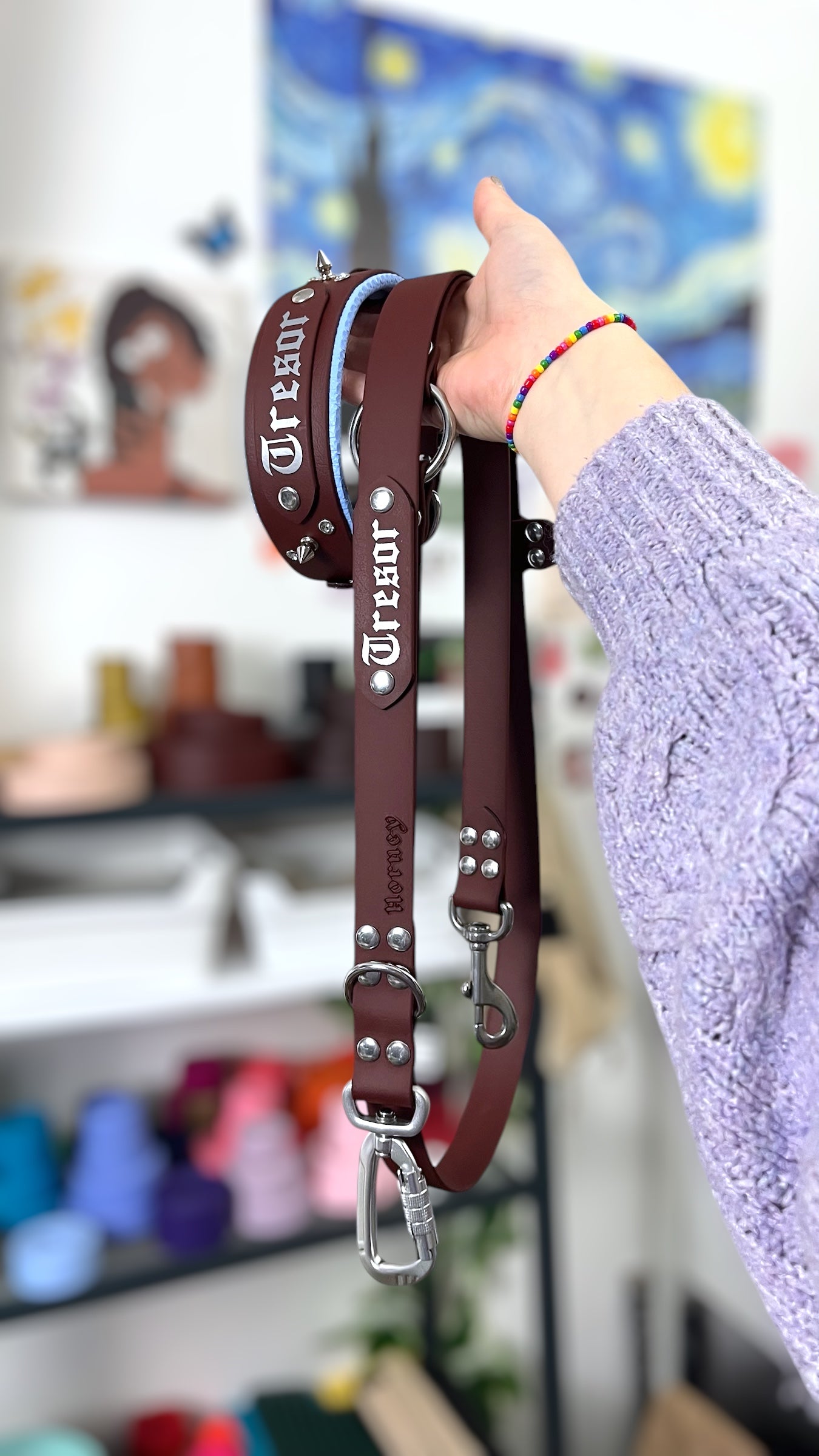 BioThane® Multi-Position Leash