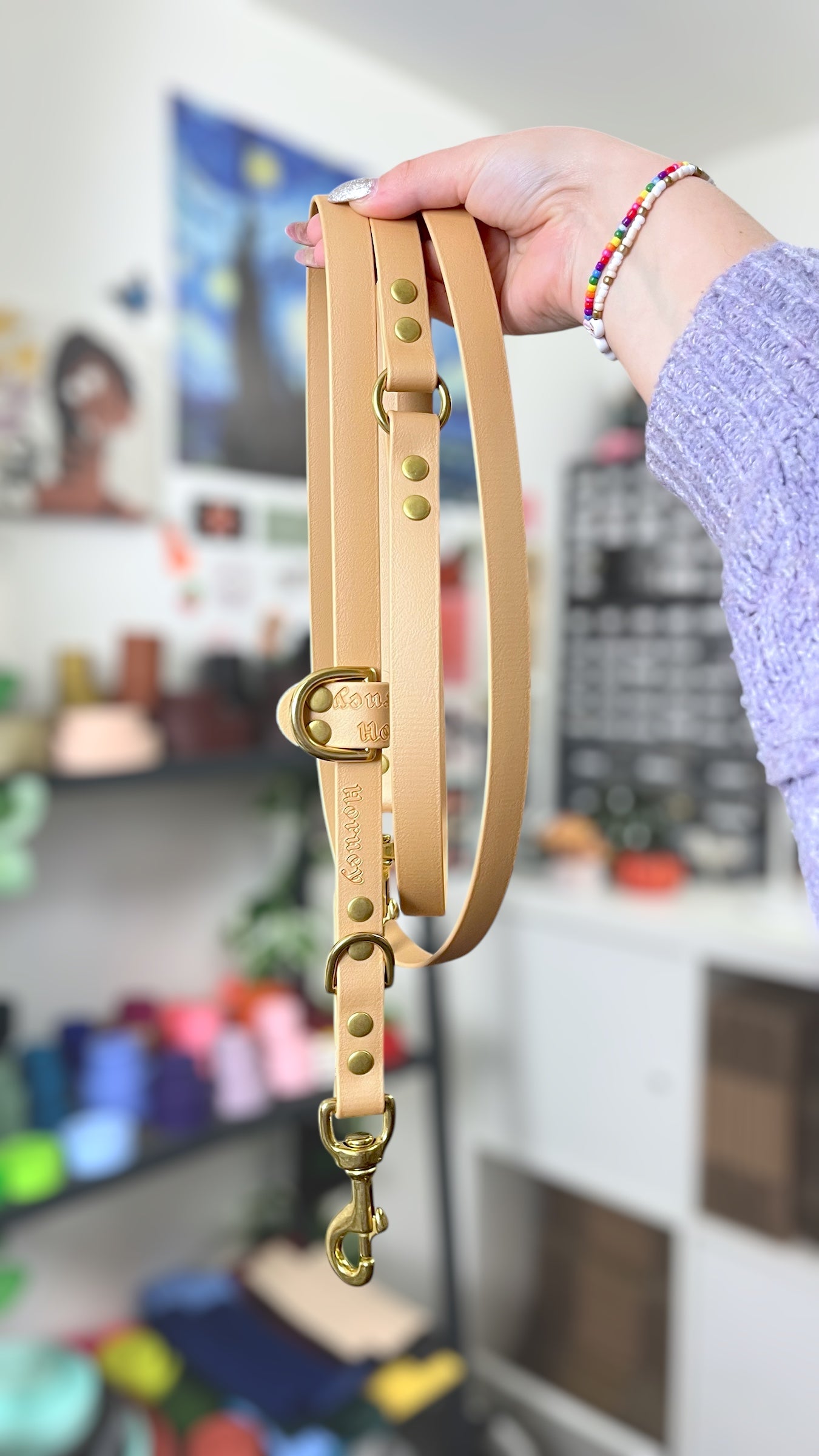 BioThane® Multi-Position Leash