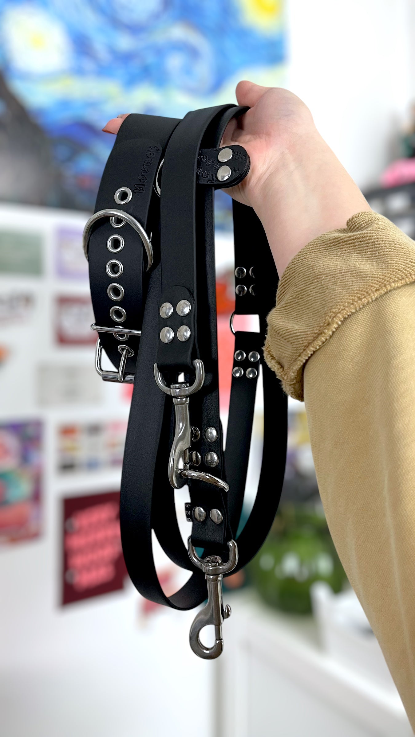 BioThane® Multi-Position Leash