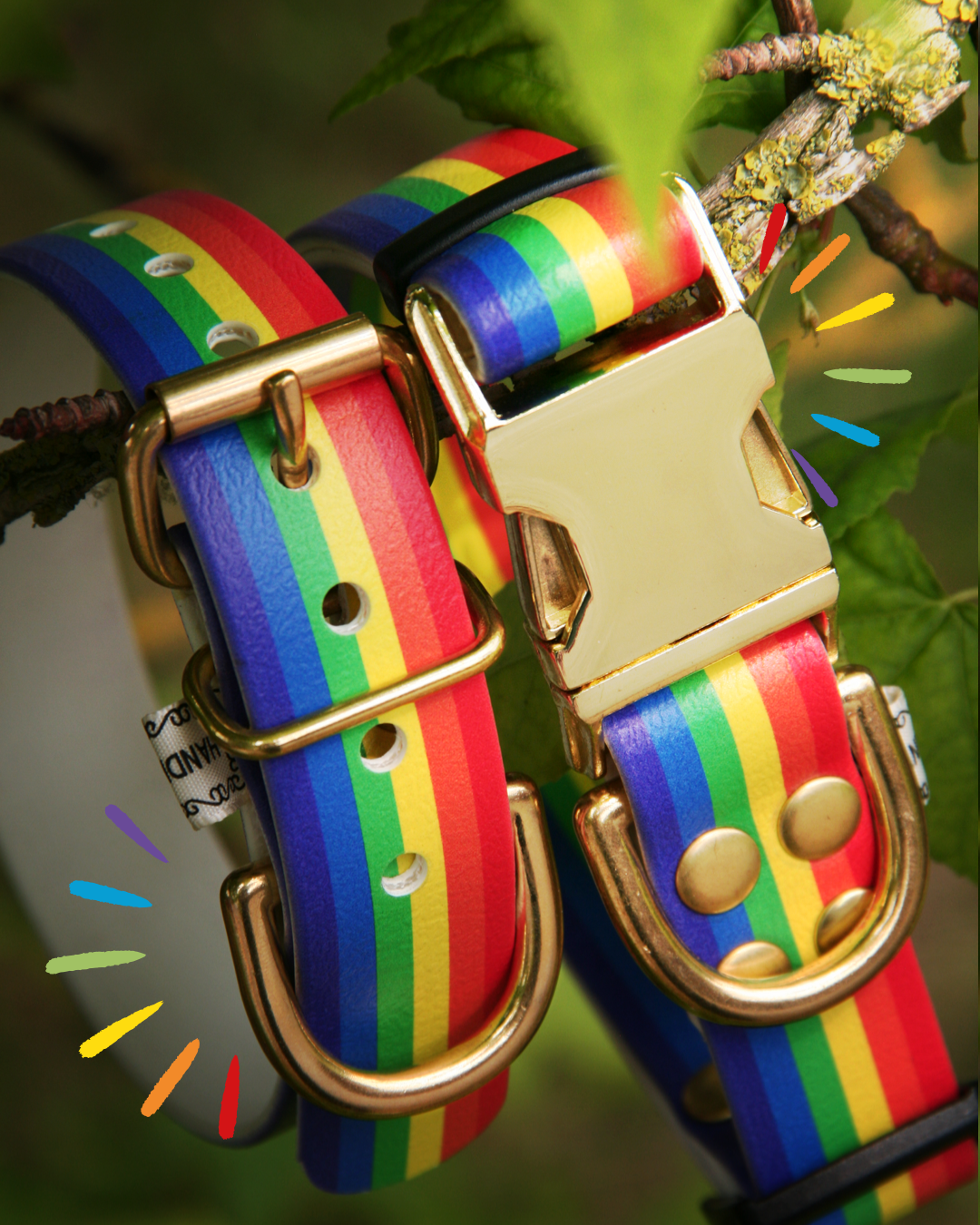 Box Pride 🌈