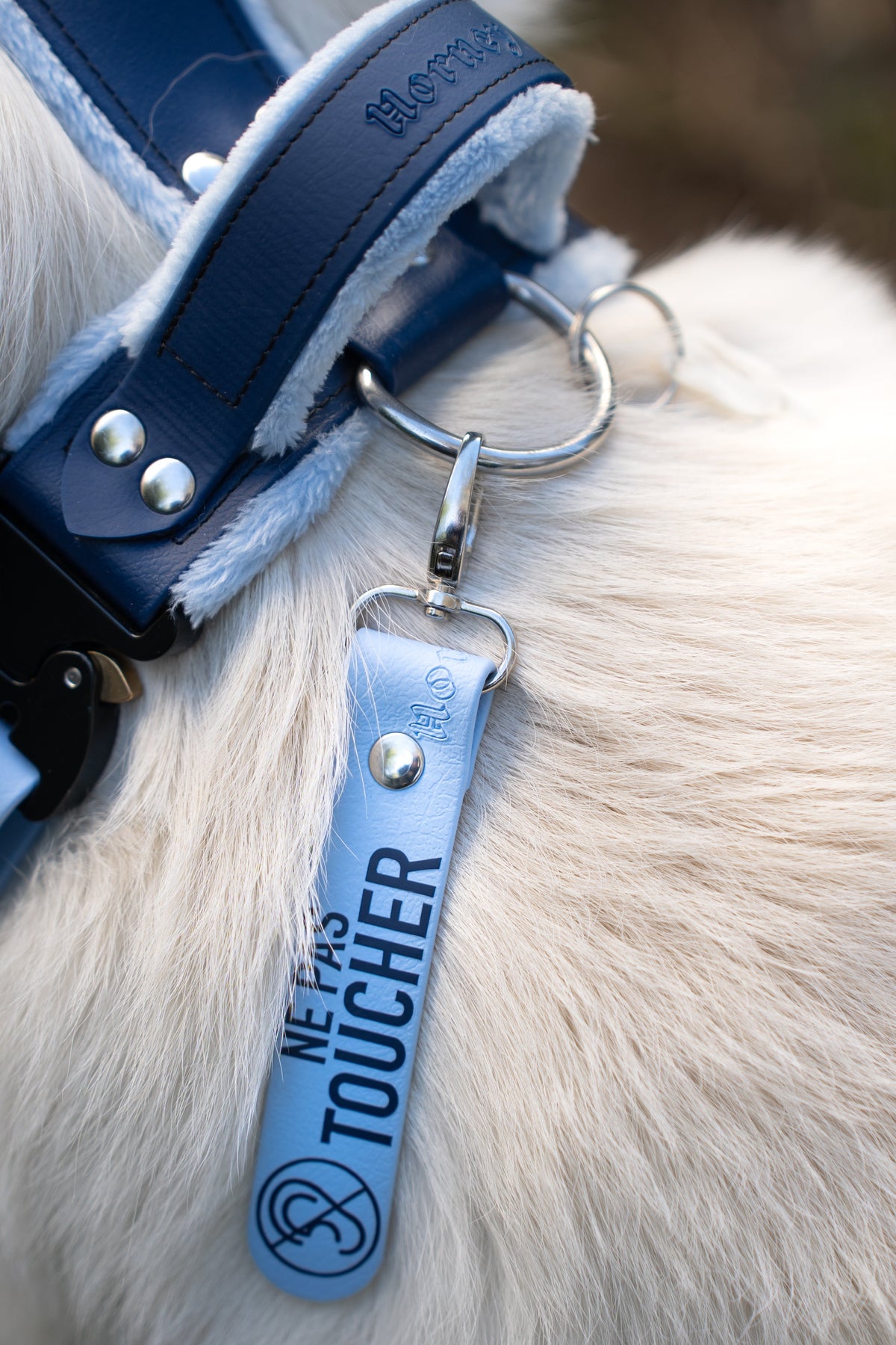 Accessoires préventifs 💬