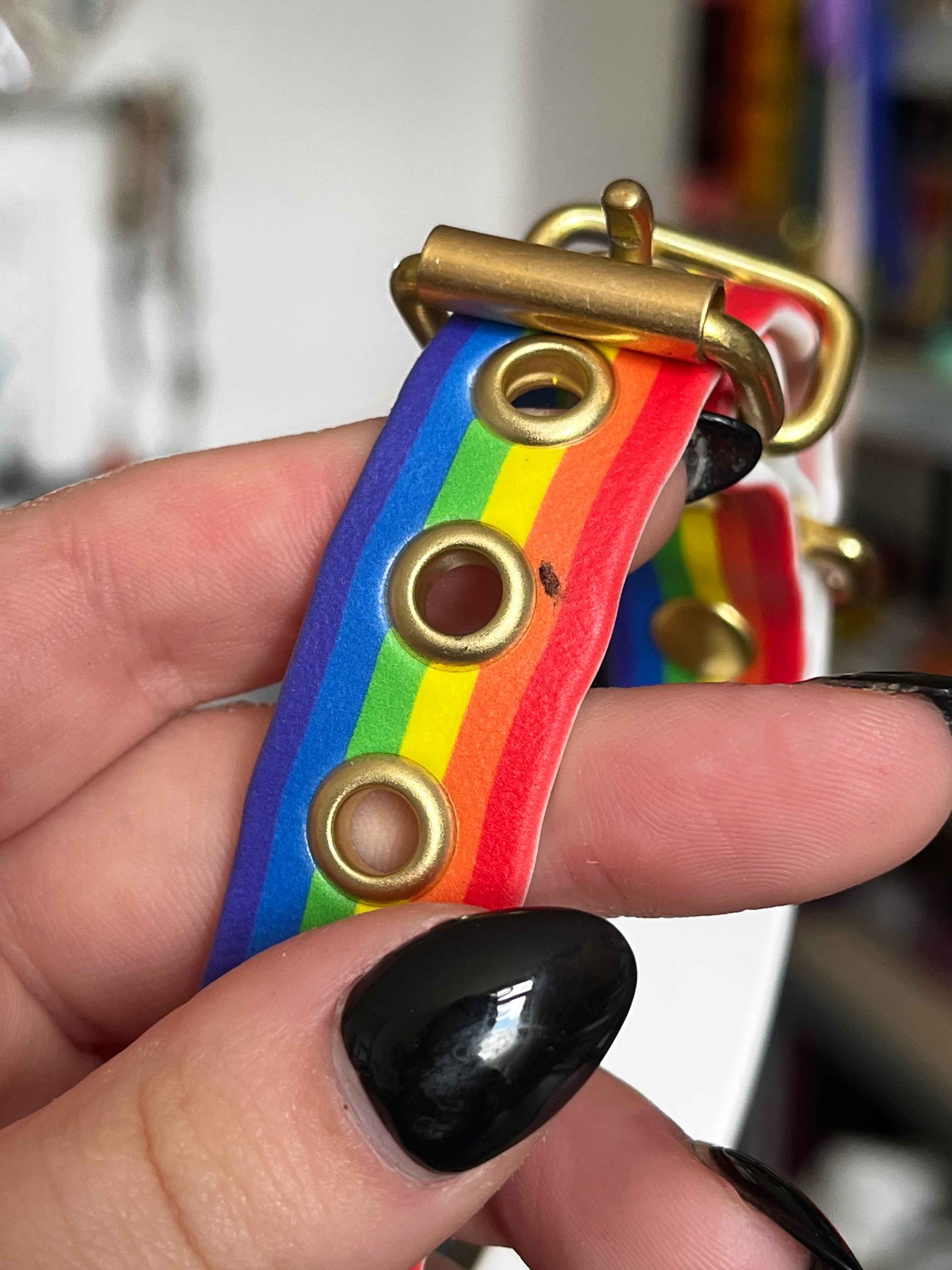 Collier Pride (25 à 35cm) présentant un défaut