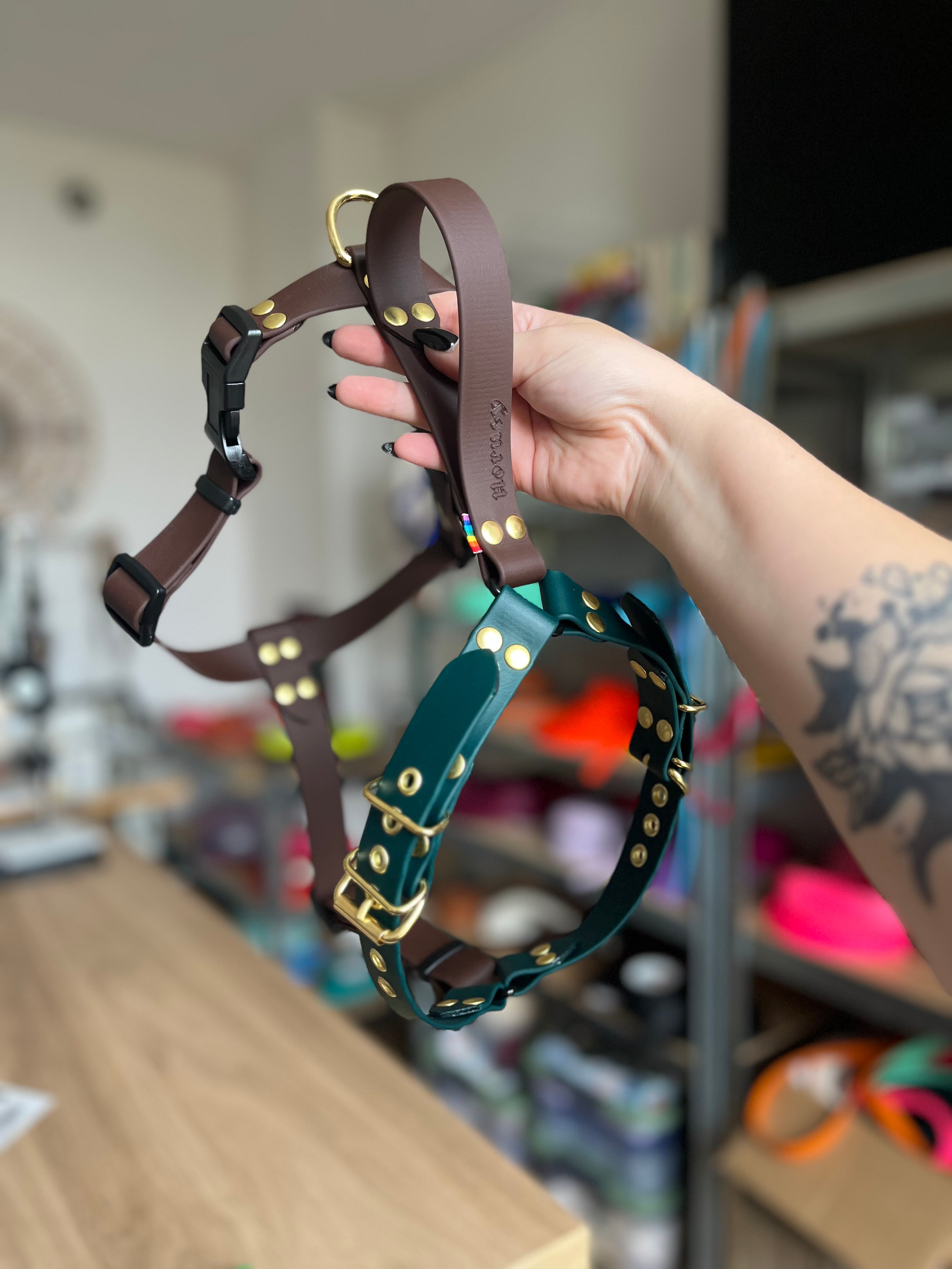 25MM Y-Harness