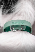 BioThane® Grip Collar