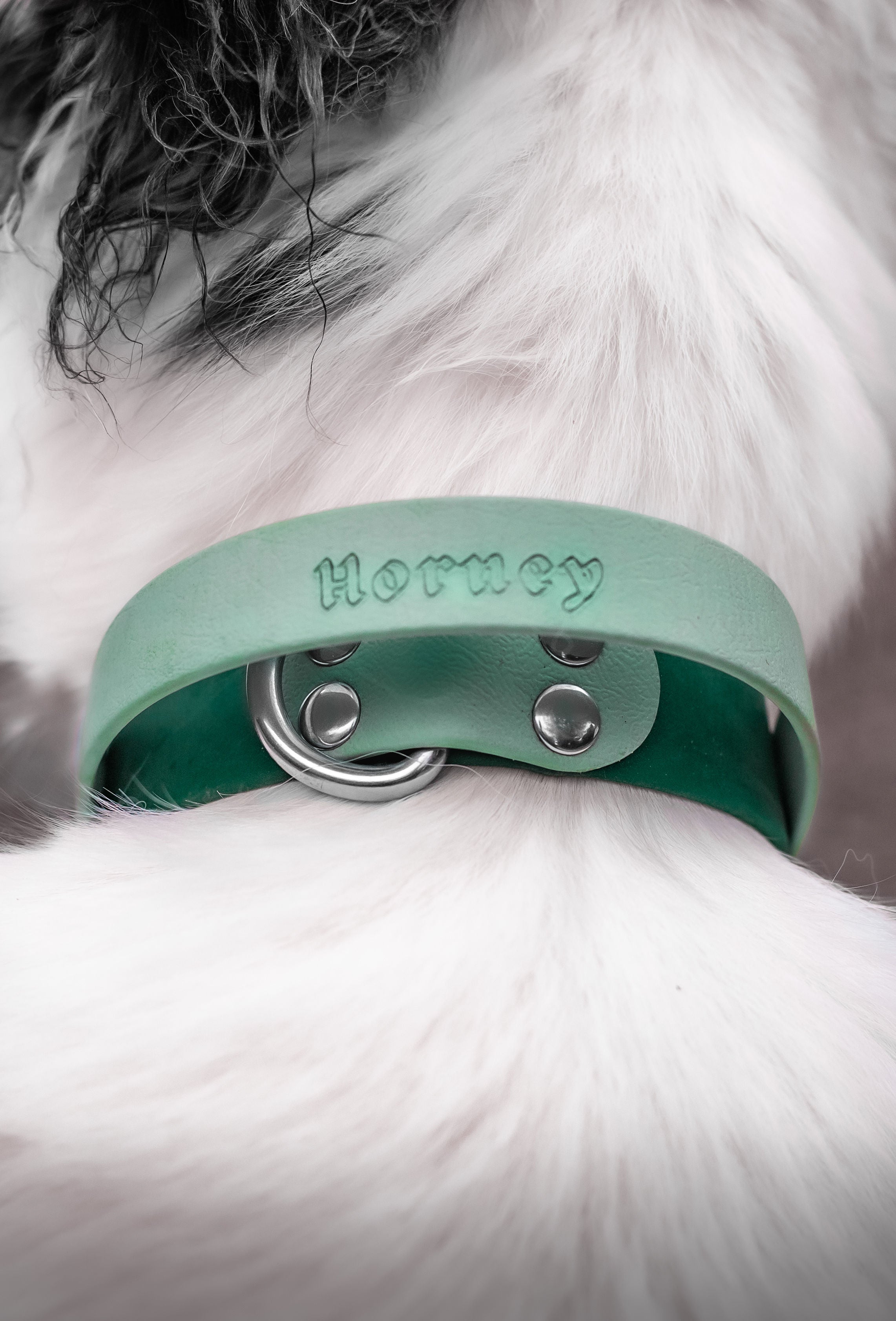 BioThane® Grip Collar