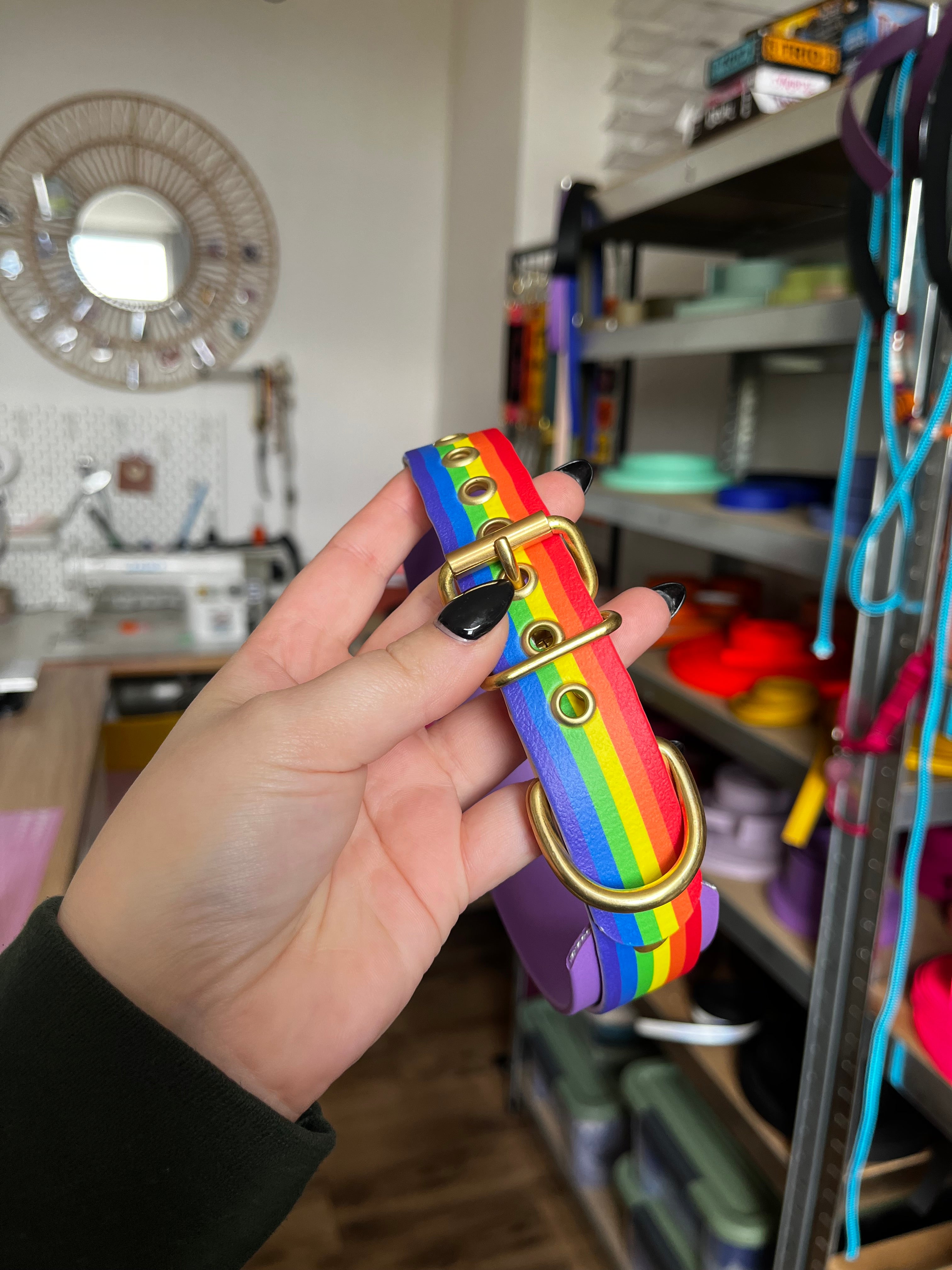 Collier bi-largeur Pride (35 à 45cm)