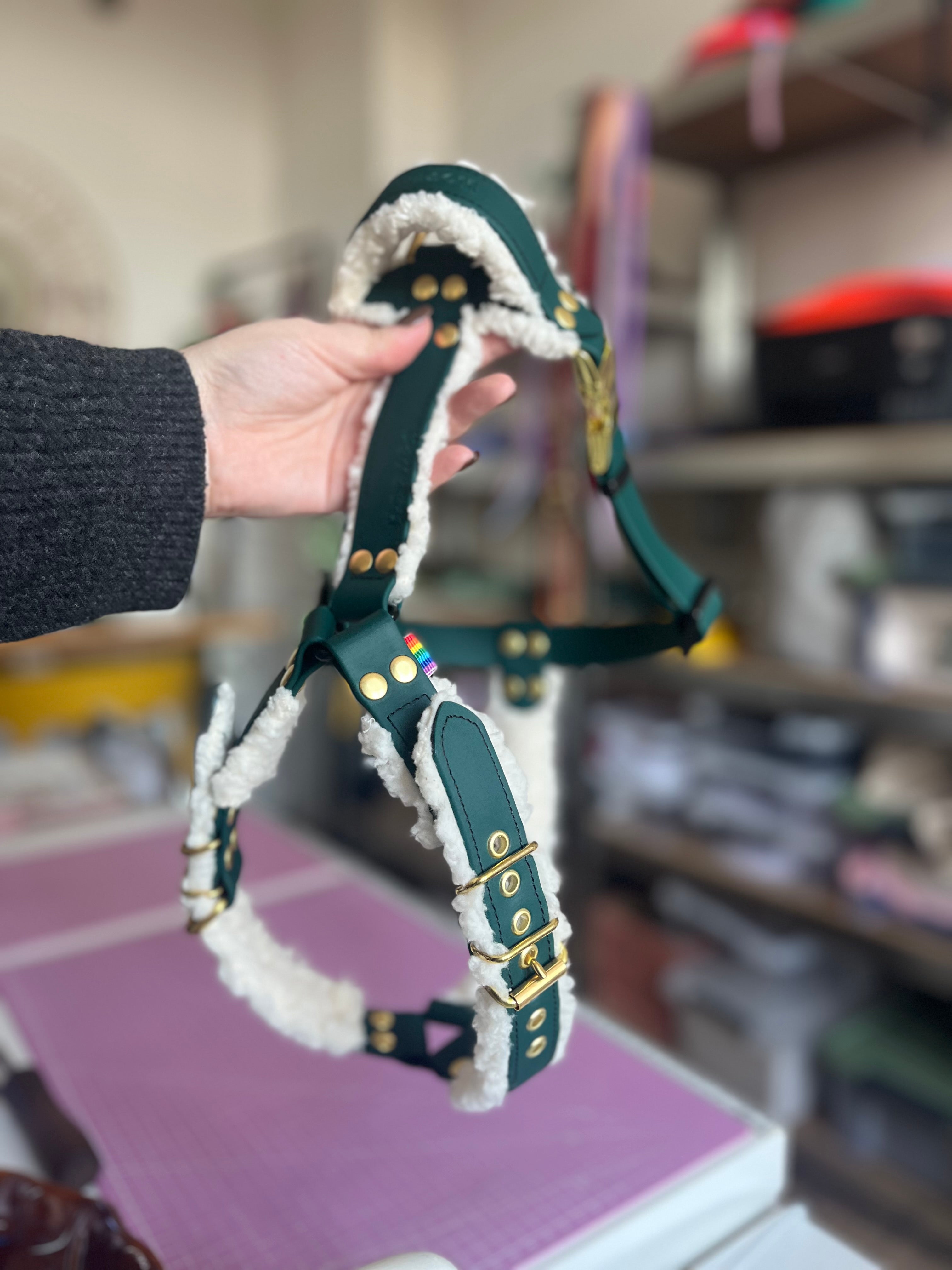 Harnais tout doux 🐑