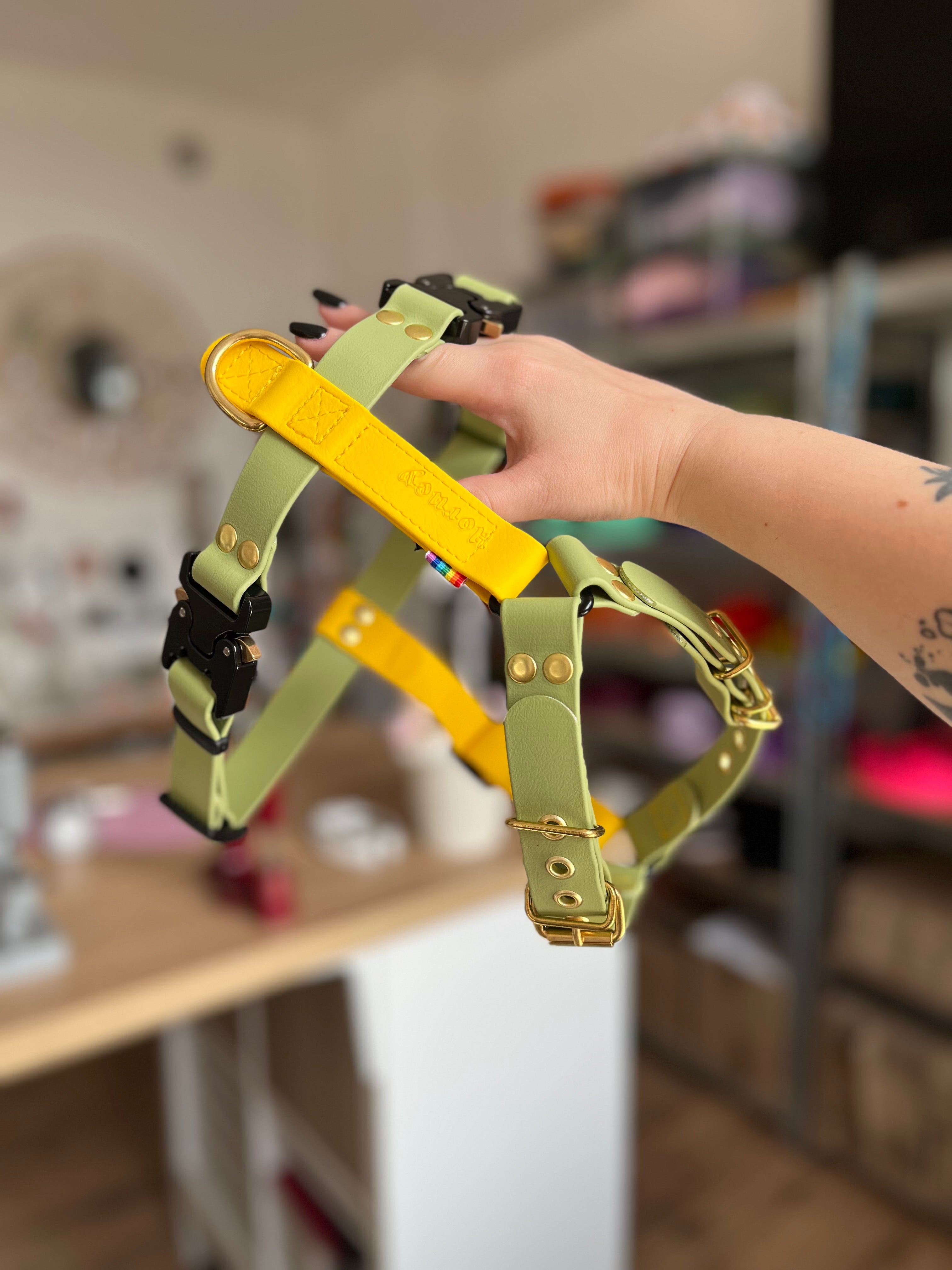 38MM Y-Harness