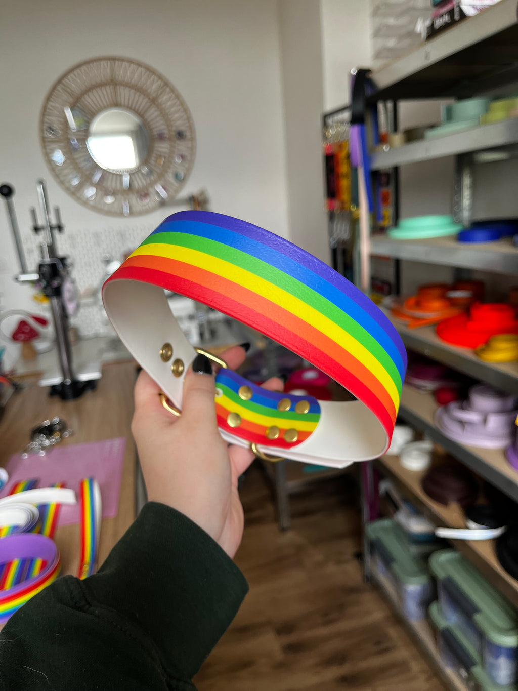 Collier Pride (45 à 55cm)