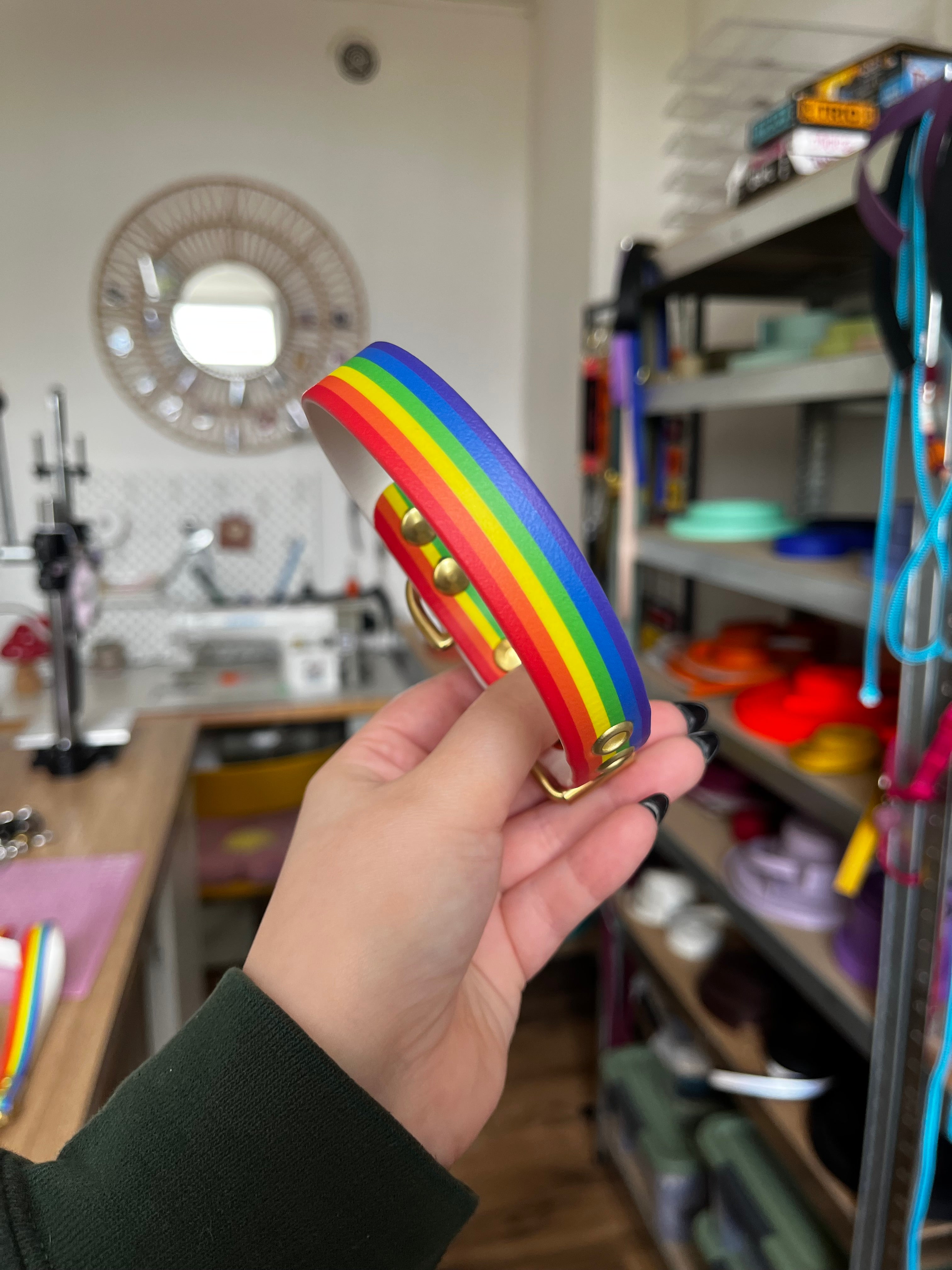 Collier Pride (25 à 35cm) présentant un défaut