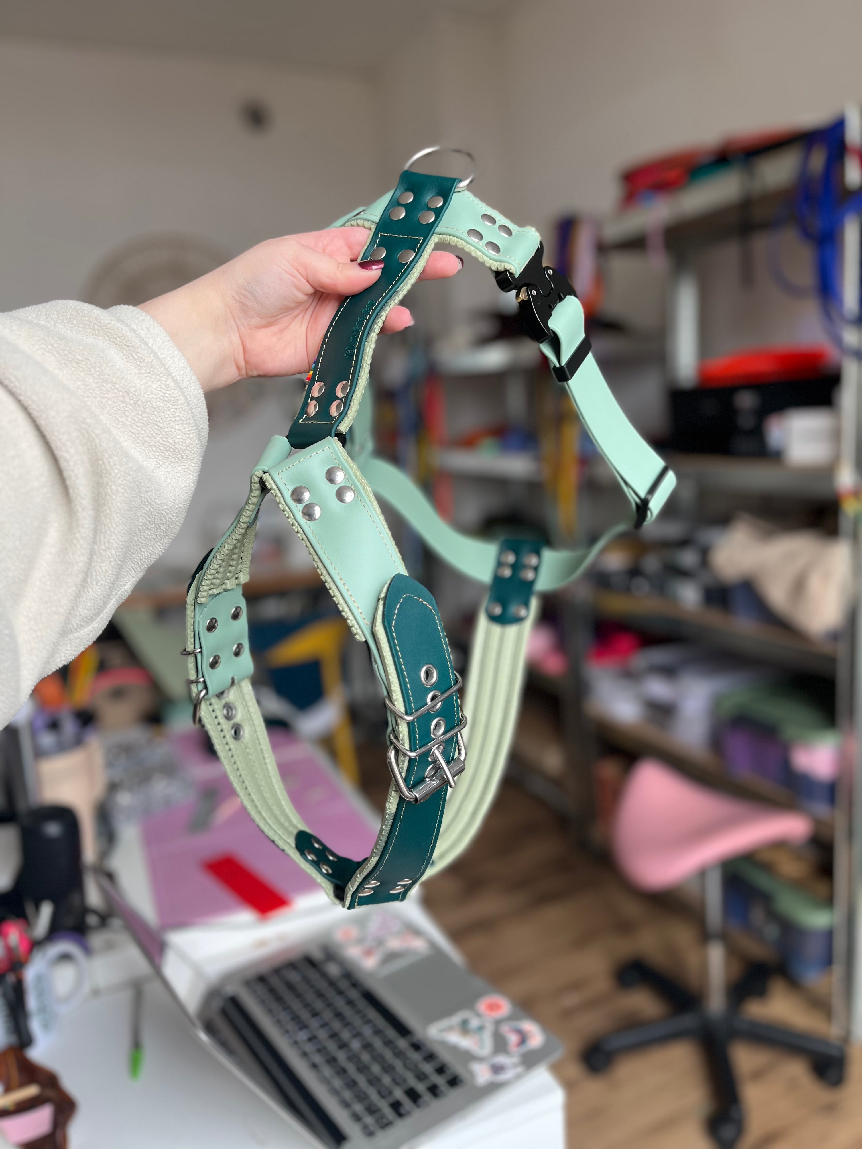 Harnais tout doux 🐑