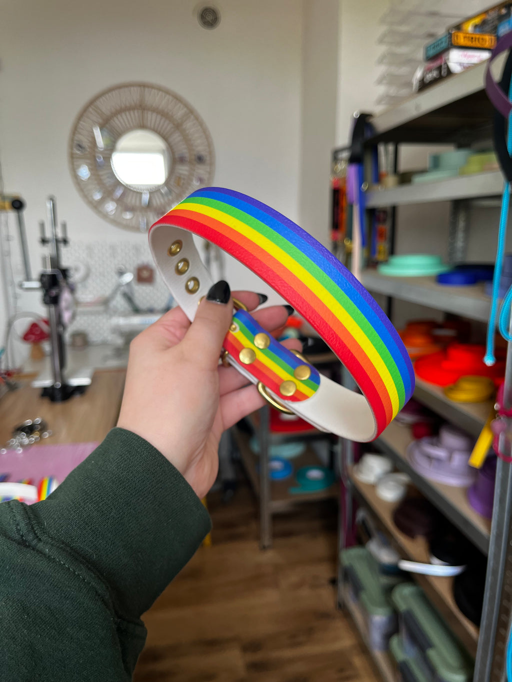 Collier Pride (35 à 45cm)