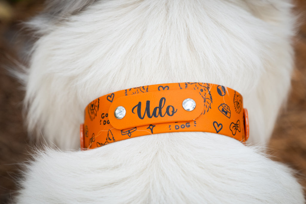 Pack Horney x Sticky Lily