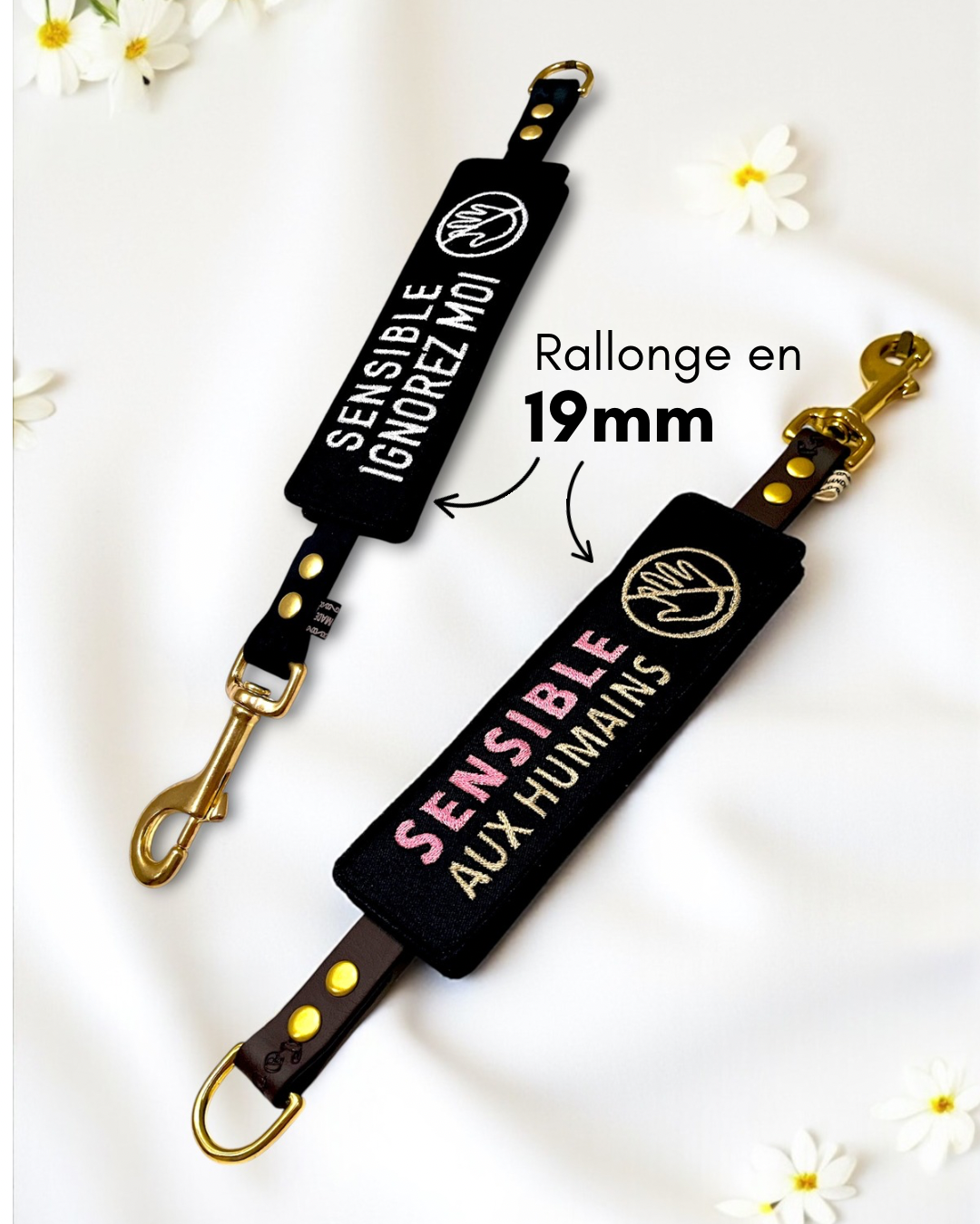 Le pack Patch'Alerte