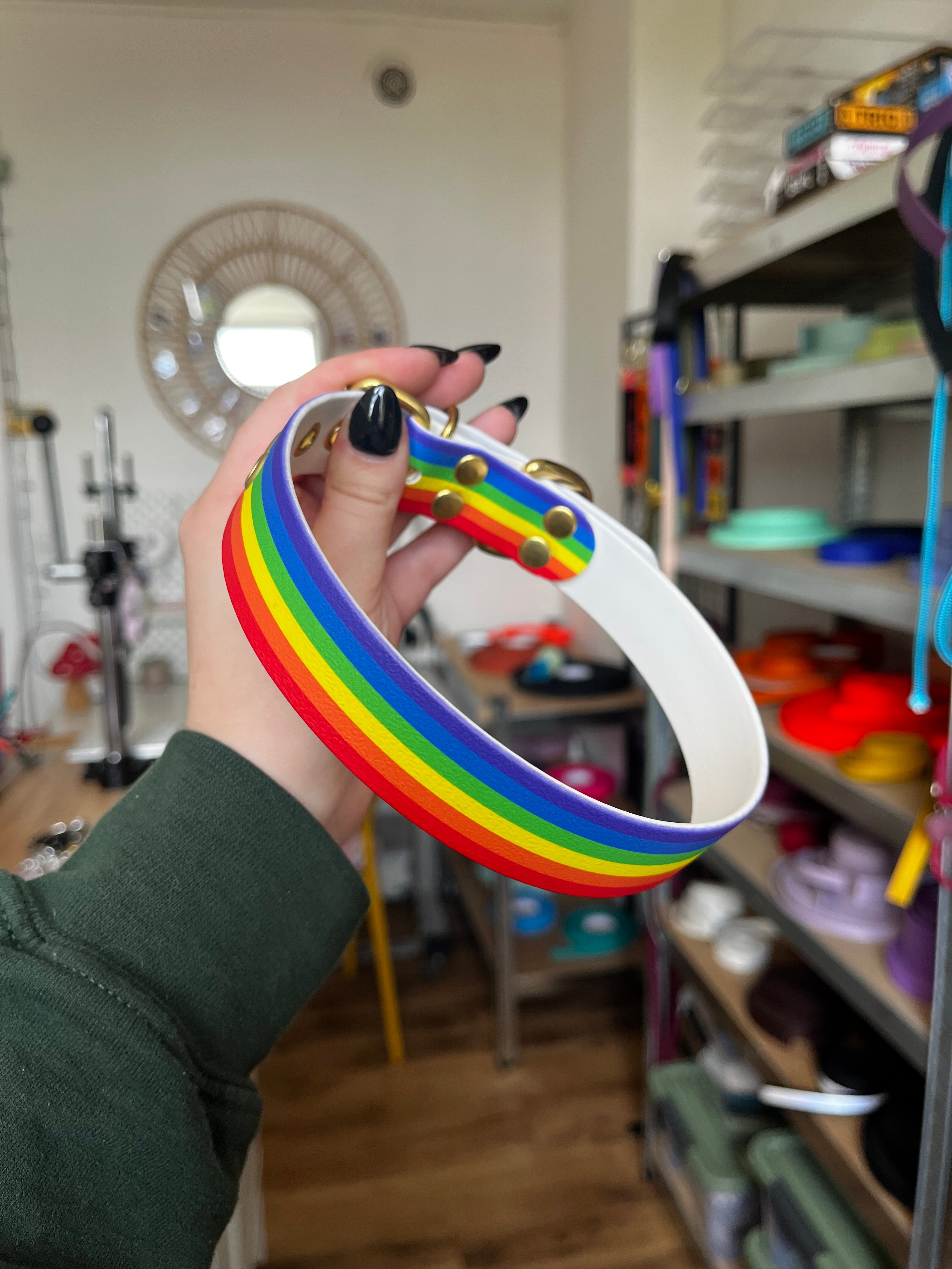Collier Pride (35 à 45cm)