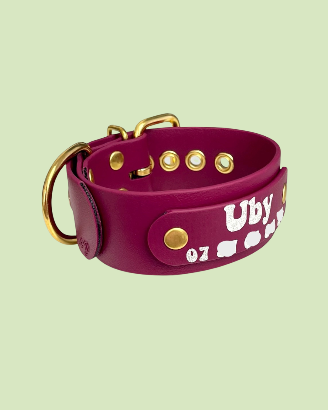 Collier d'identité BioThane® UV