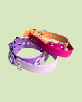 Collier à poignée BioThane®