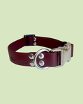 Collier à clips BioThane®