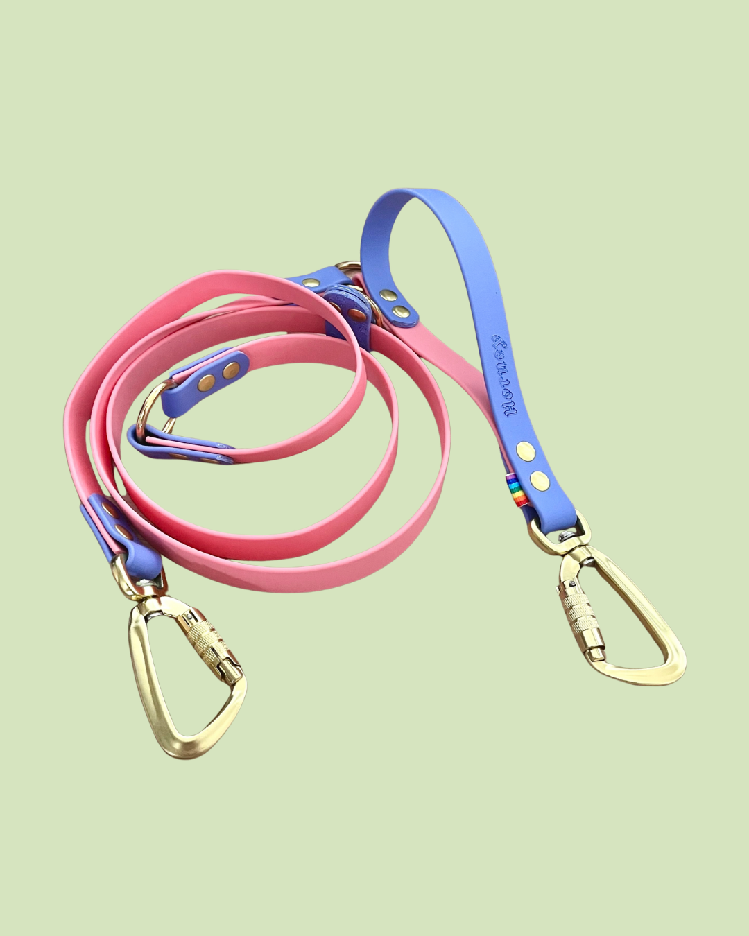 BioThane® Two-Tone Multi-Position Leash