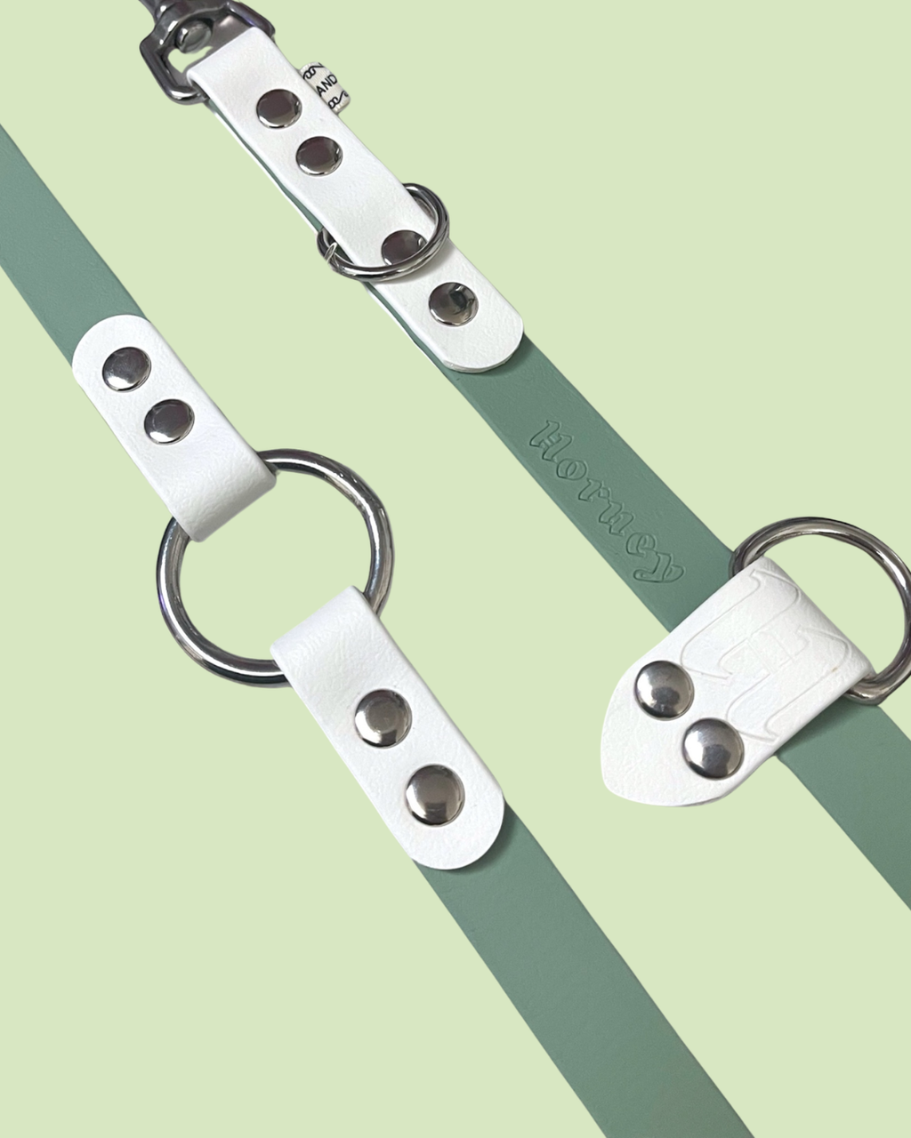 BioThane® Two-Tone Multi-Position Leash