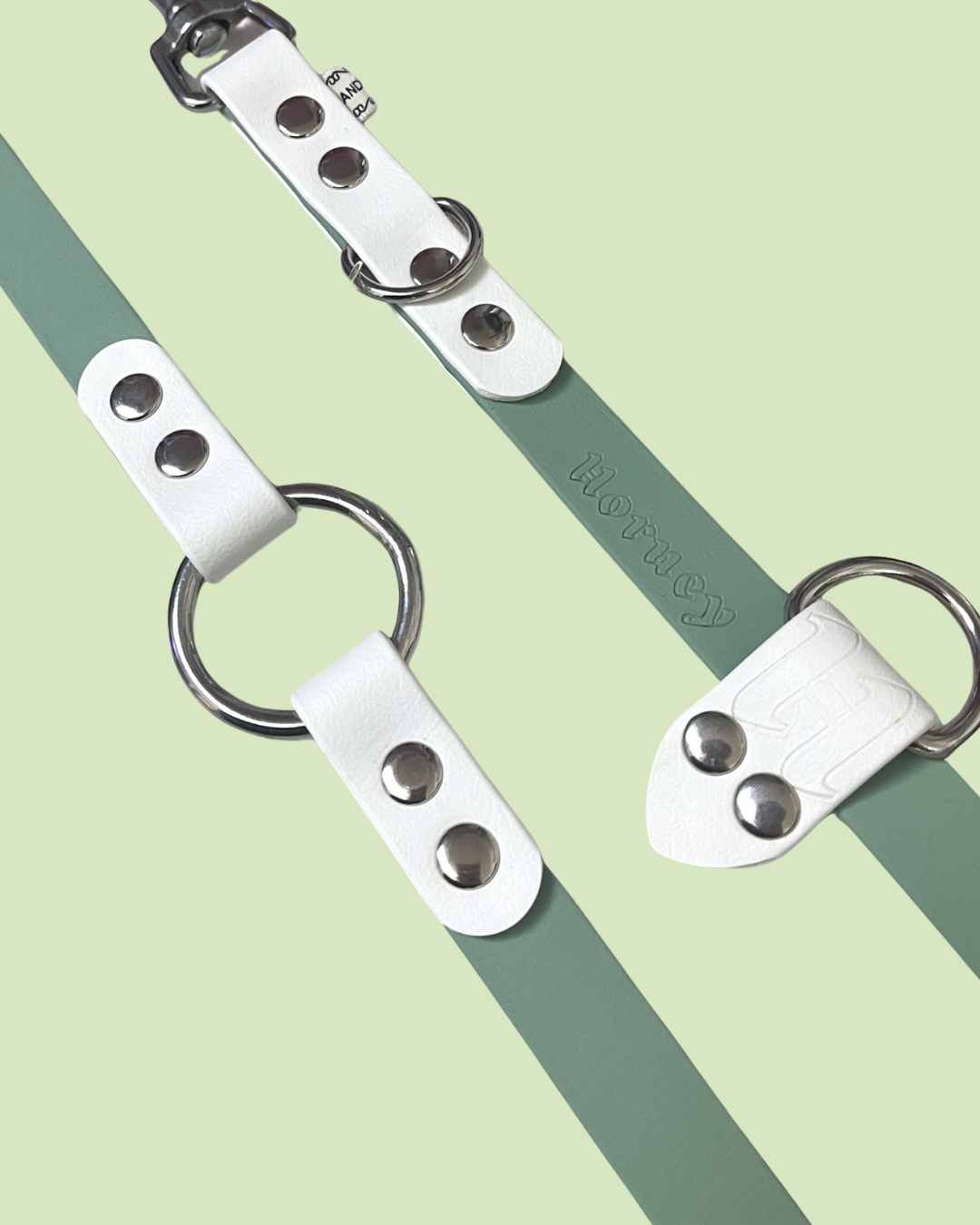 Laisse multi-position bicolore BioThane®