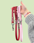 Laisse BioThane®