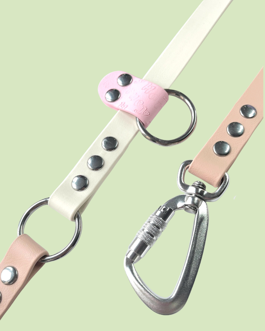 Laisse multi-position tricolore BioThane®