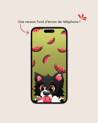 Illusolidaire : Pastèque 🍉